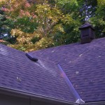 Architectural Style Roof
